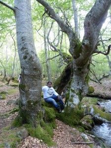 Excursiones por el hayedo de Santiago
